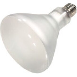 Lamp 120/BR40/HAL/FL, 120 watt