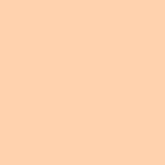 R002 - Roscolux Bastard Amber