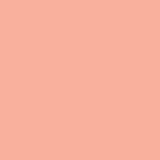 R004 - Roscolux Medium Bastard Amber
