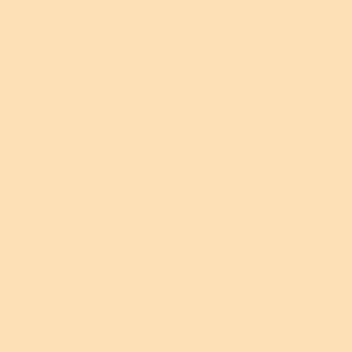 R008 - Roscolux Pale Gold