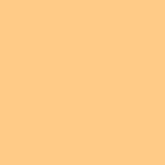 R009 - Roscolux Pale Amber Gold